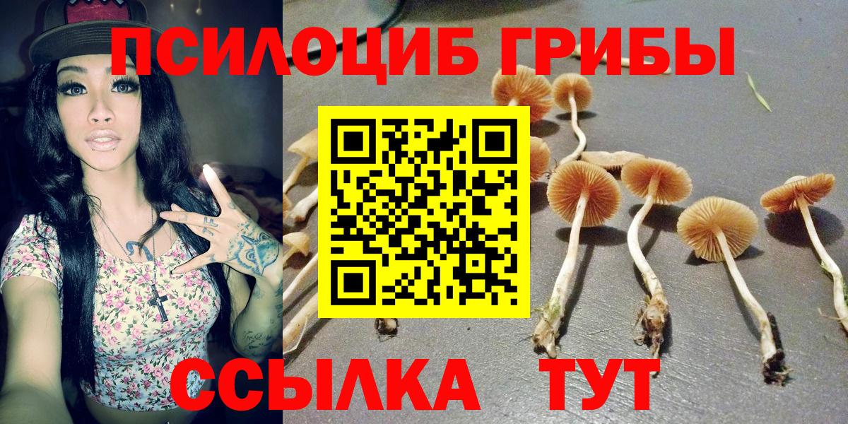 Псилоцибиновые грибы MAGIC MUSHROOMS Верхняя Пышма