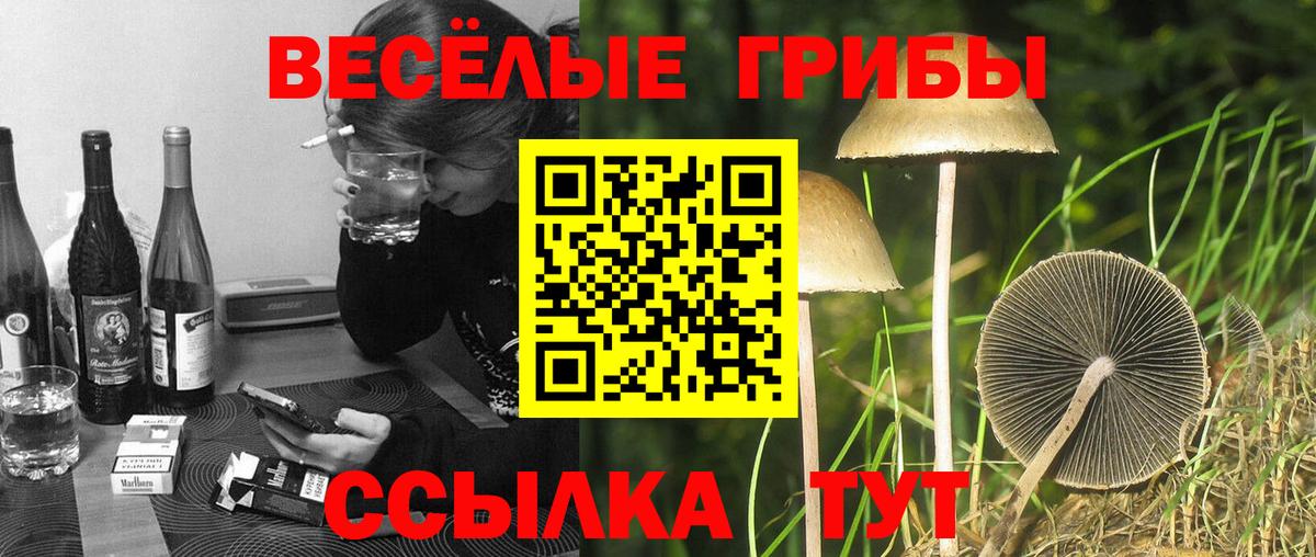 Галлюциногенные грибы Cubensis  Псилоцибиновые грибы Cubensis  Вход с VPN  хочу   Верхняя Пышма 